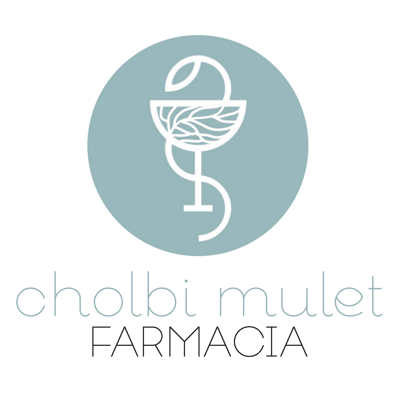 Farmacia Cholbi Mulet